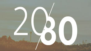 2080 SEO Concept
