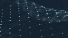Holistic SEO