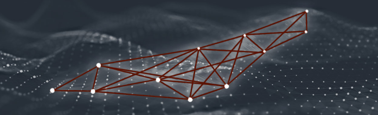 Holistic SEO