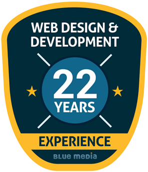 Web Wesign Experience