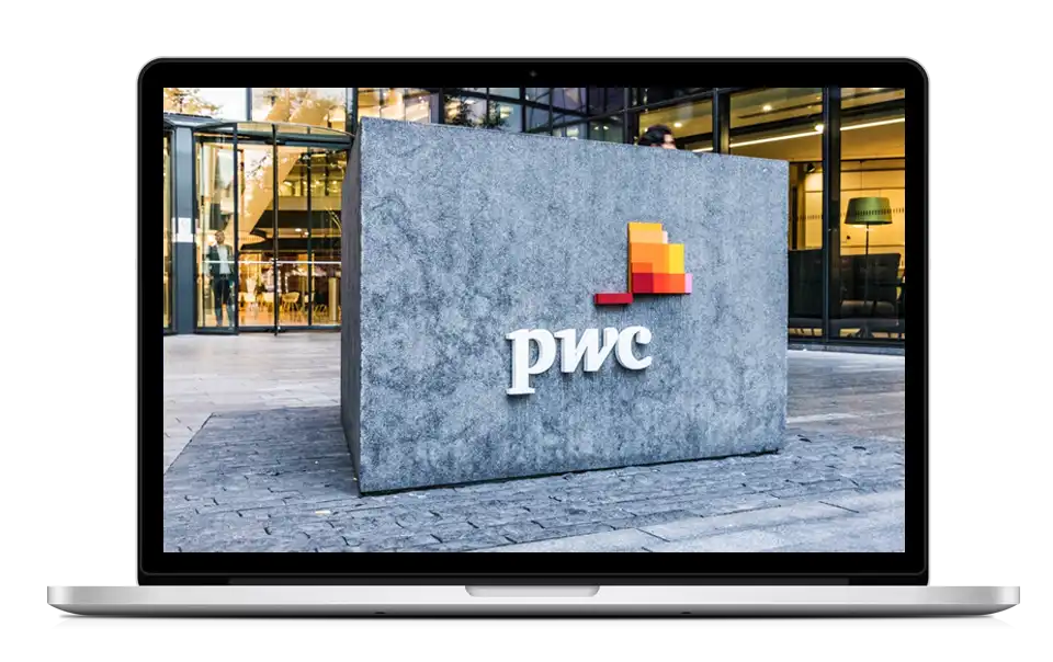 PricewaterhouseCoopers SEO Success Story