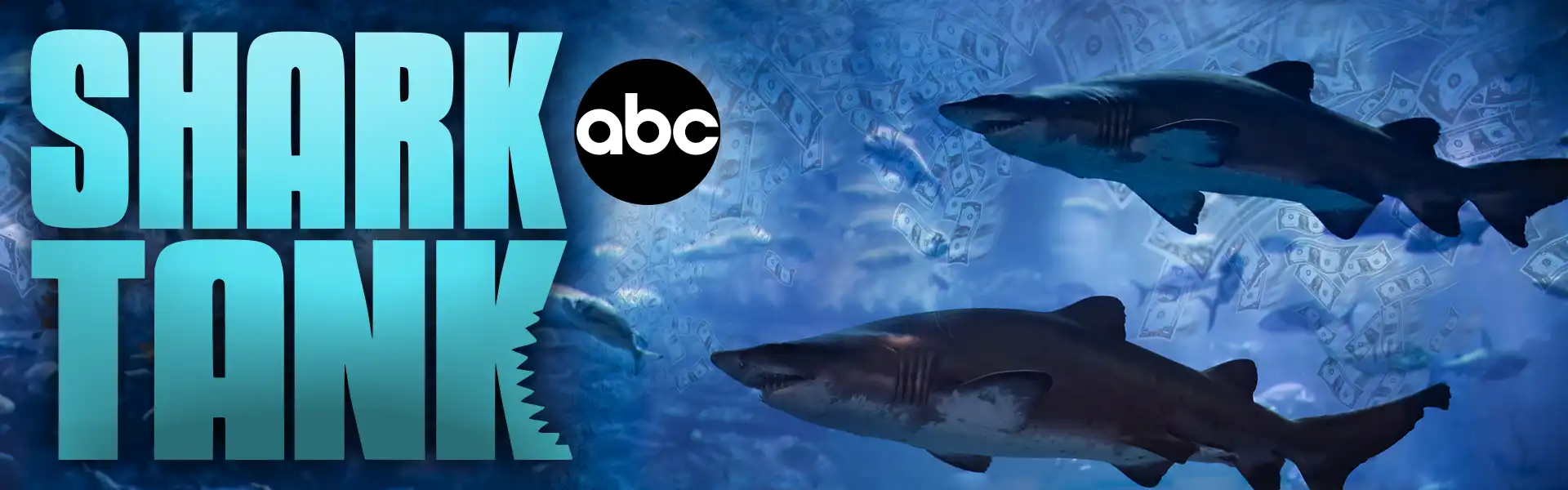 Shark Tank / SEO Company