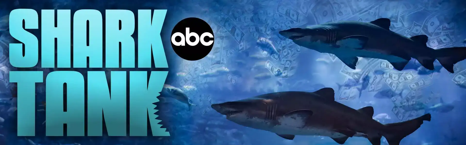 Shark Tank SEO Services