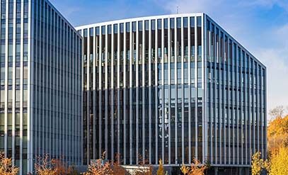 SEO Services for Enterprise Companies