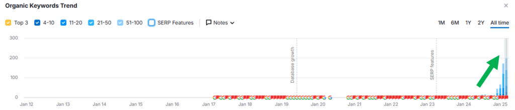 SEO Small Business Example