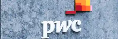 PricewaterhouseCoopers SEO Case Study