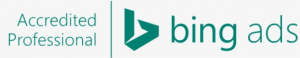 Bing-Professional.png